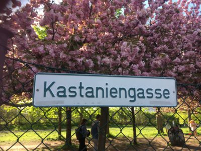 Kastaniengasse Schwedenhäuschen Mietz