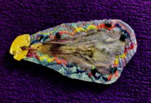 Sat 13.12.25, 12-17h Santa Lucia Auftakt 13:00 Konzert Performance