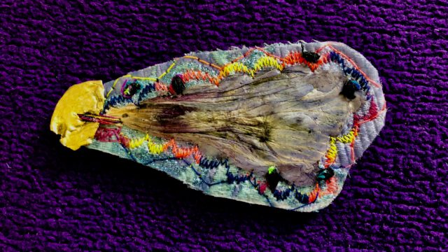 Sat 13.12.25, 12-17h Santa Lucia Auftakt 13:00 Konzert Performance